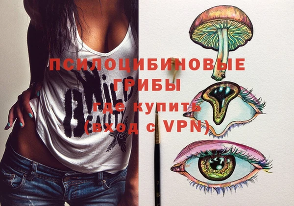 героин Пересвет