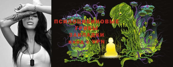 героин Пересвет