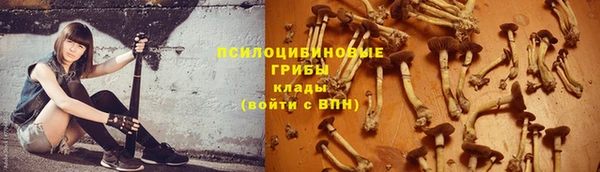 героин Пересвет