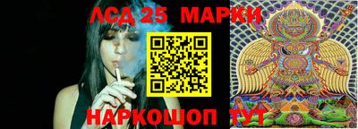 наркотики Новозыбков