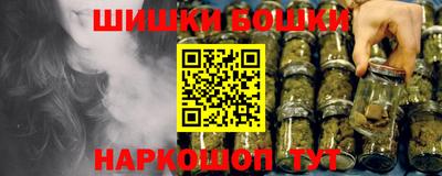 сатива Новодвинск
