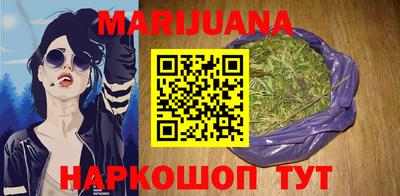 сатива Новодвинск