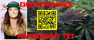 наркотики Новозыбков