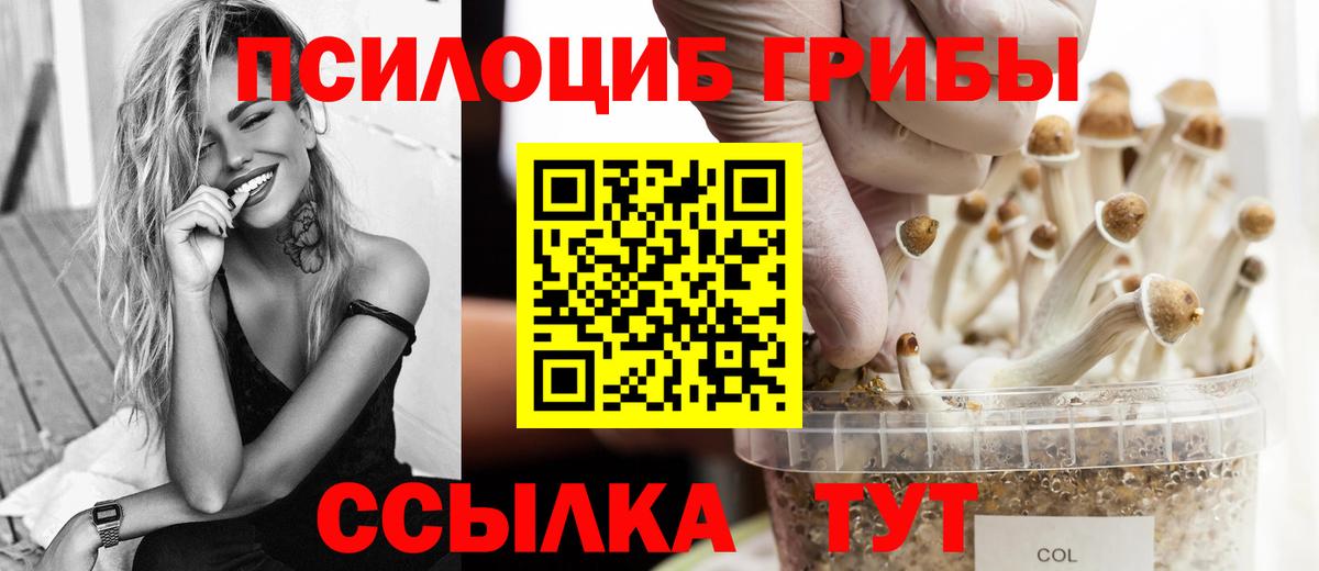 купить  сайты  Псилоцибиновые грибы Magic Shrooms  Вход с VPN  Саянск 
